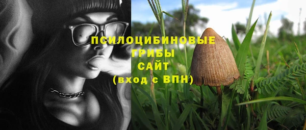 тгк Елизово