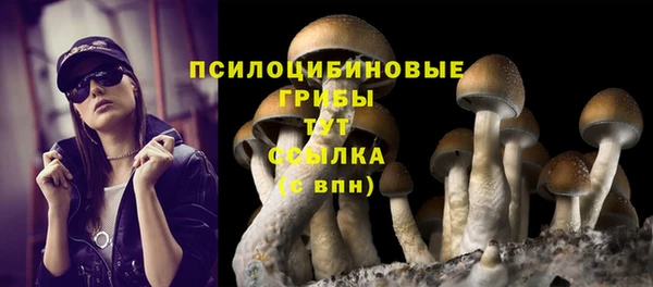 прущие грибы Заволжск