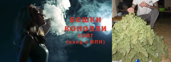 кокс Ельня