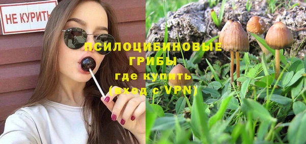 кокс Ельня