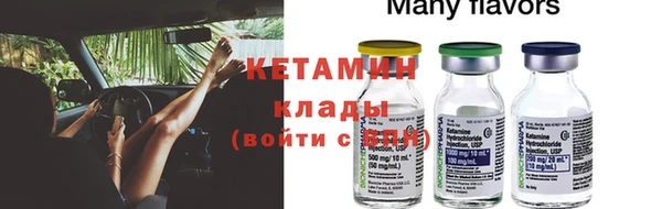 прущие грибы Заволжск