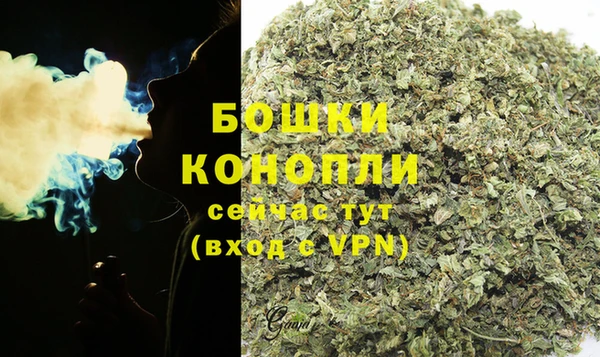 прущие грибы Заволжск