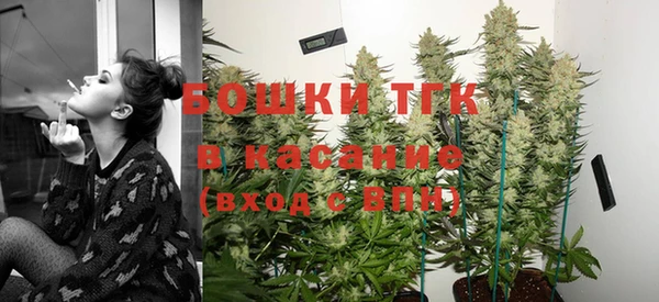 тгк Елизово