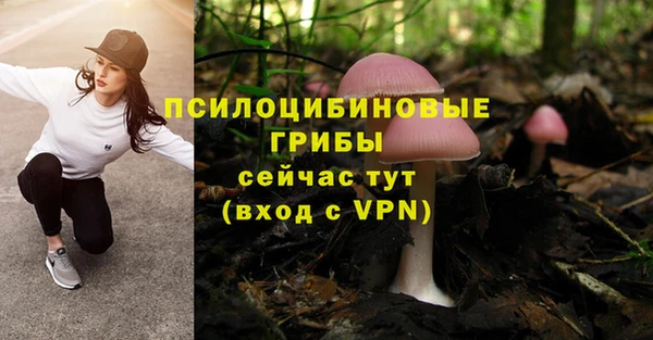 кокс Ельня