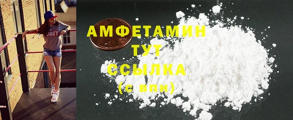 кокс Ельня