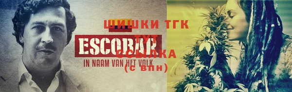 тгк Елизово