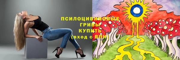 прущие крисы Елабуга