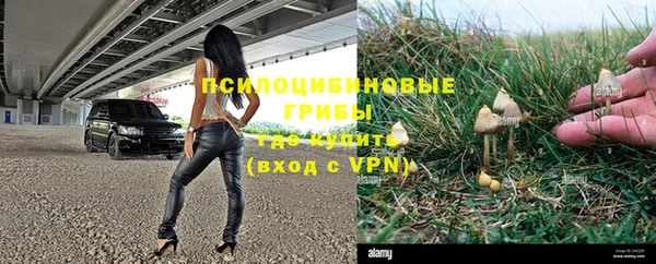 прущие крисы Елабуга