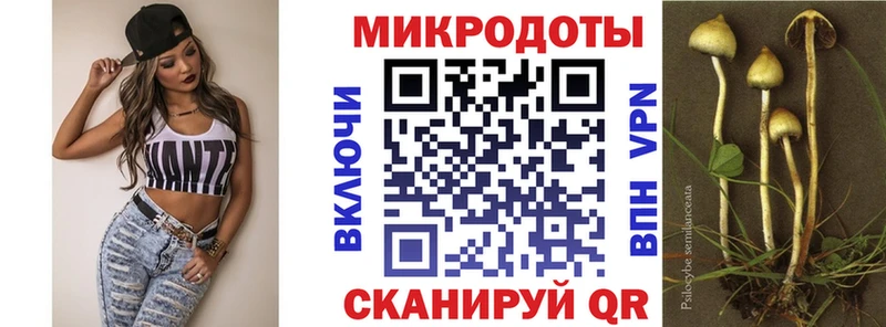 наркотики Бологое Псилоцибиновые грибы мицелий